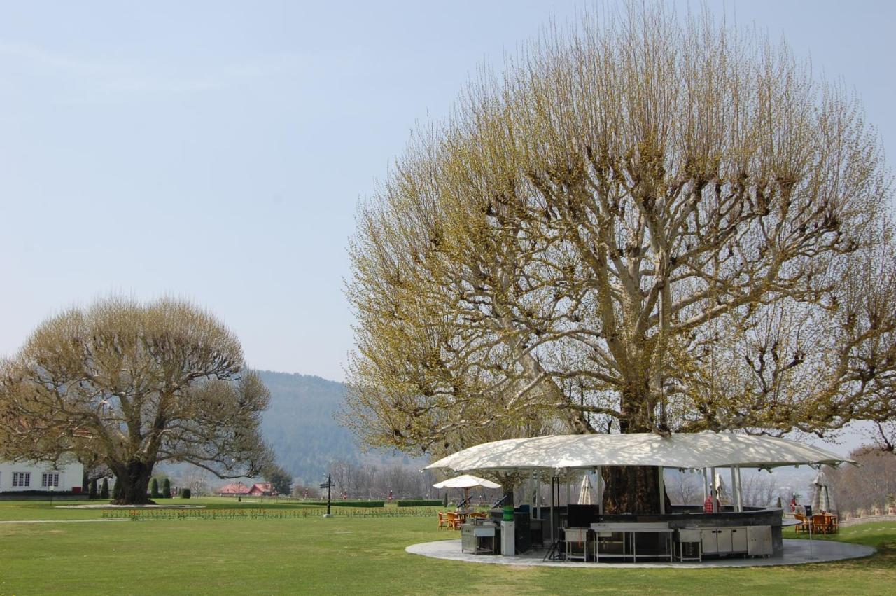 The Lalit Grand Palace Srinagar Buitenkant foto